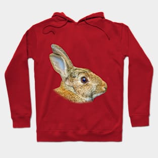 Wild Rabbit Hoodie